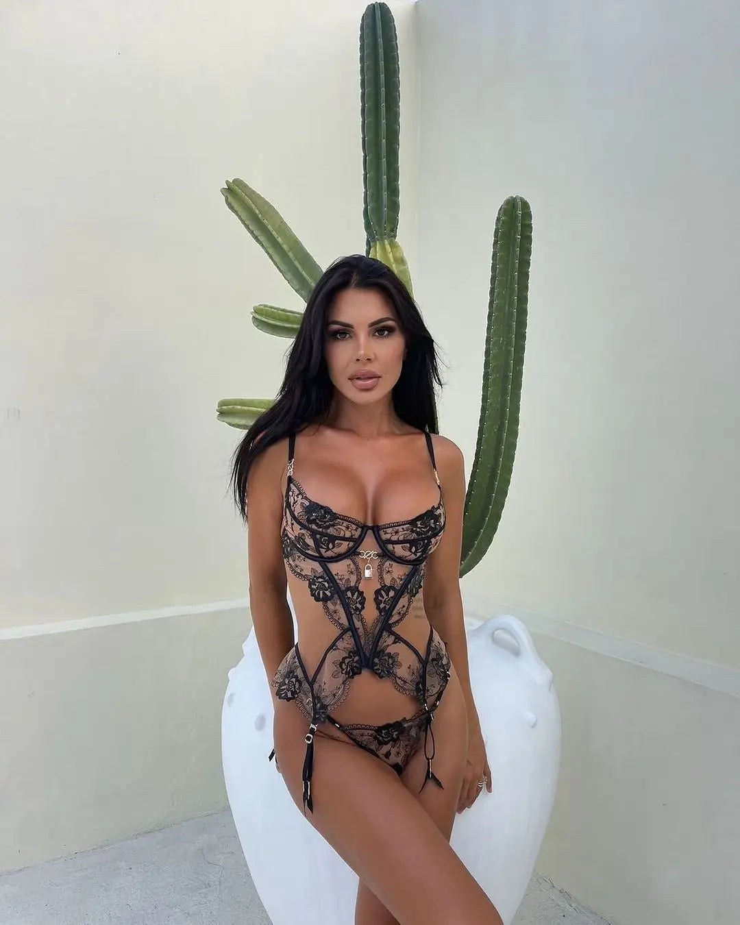 Ultra Hot Lace Sexy Transparent Ensemble Lingeries