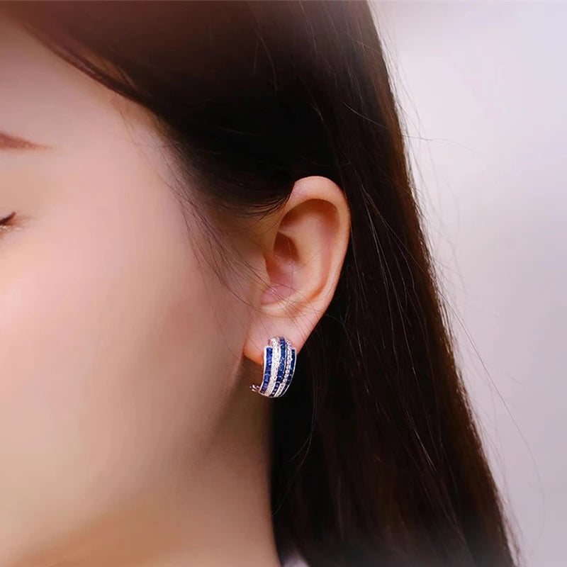 Blue & White CZ Hoop Earrings