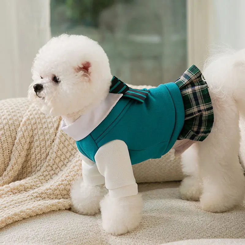 JK Sweater Dress for Small Dogs – Comfortable & Stylish Pet Clothing