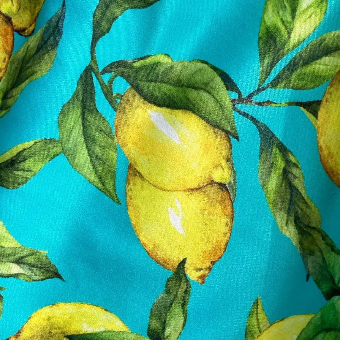 Sleeveless Summer Bohemian Lemon Print Belted Elegant Vacation Long Spaghetti Strap Maxi Dress