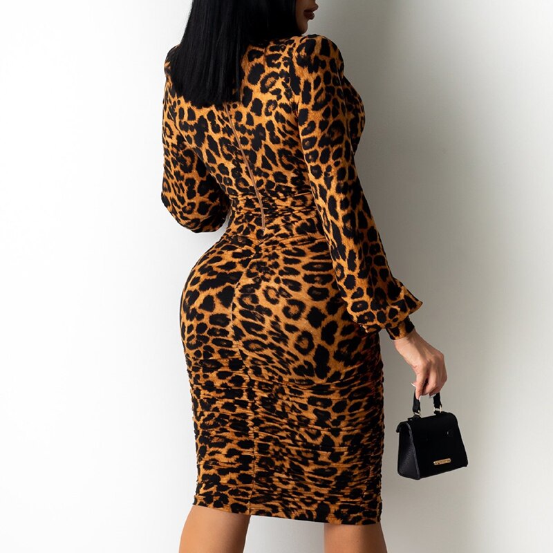Autumn  Casual Long Sleeve Deep V Neck Leopard Print Midi Dress