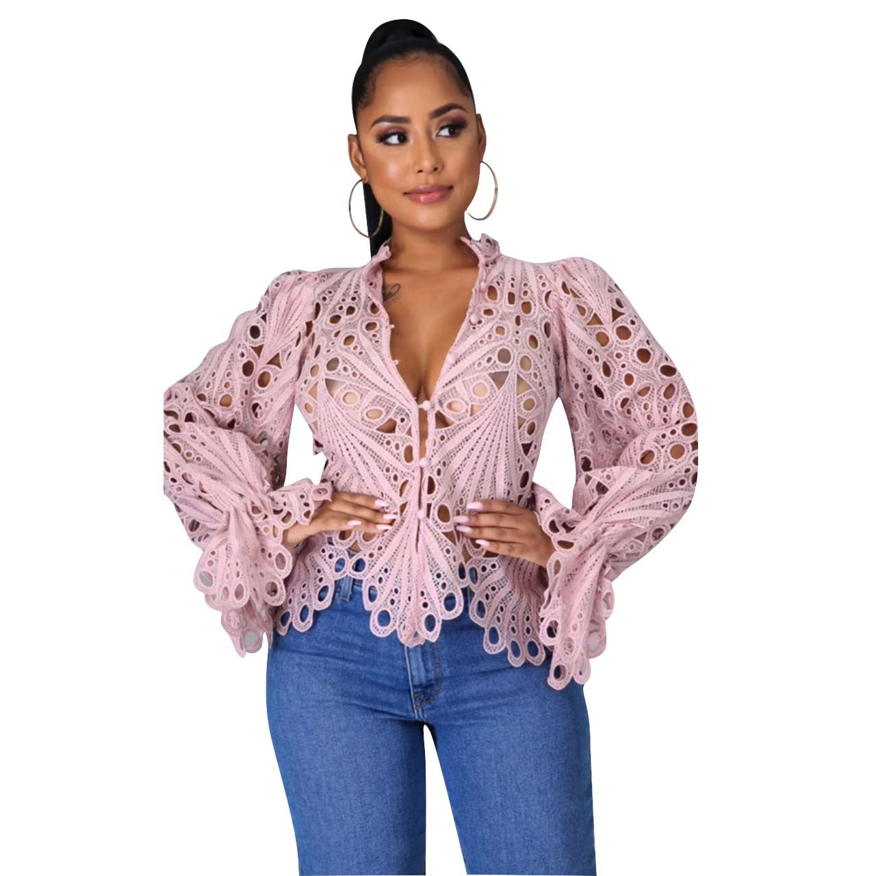 Elegant Long Sleeve Hollow Out Mesh LaceSheer See Through  Blouse