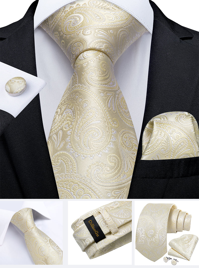 Fashion Paisley Tie Set