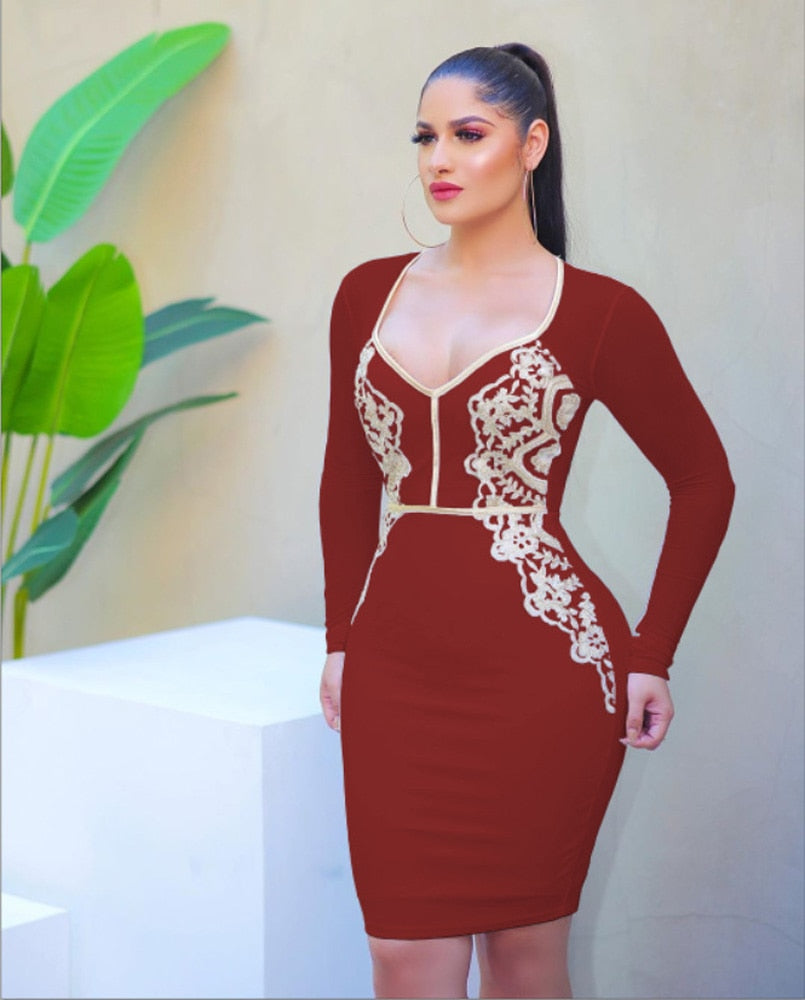 V-Neck Long Sleeve Bodycon Lace Party Dress