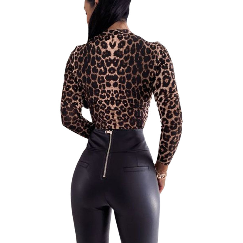 Cheetah Print V-neck Long Sleeve Blouse