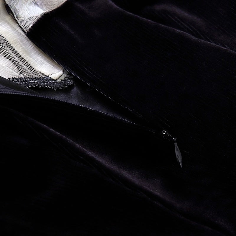 Stand Neck Lantern Sleeve Vintage Velvet Black Dress