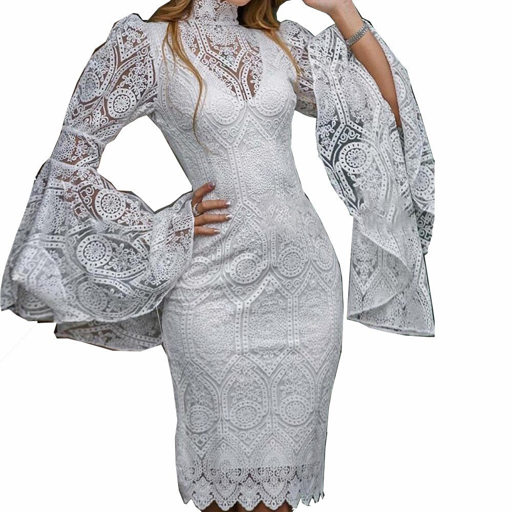 Long Sleeve Bodycon Sexy  Lace Dress