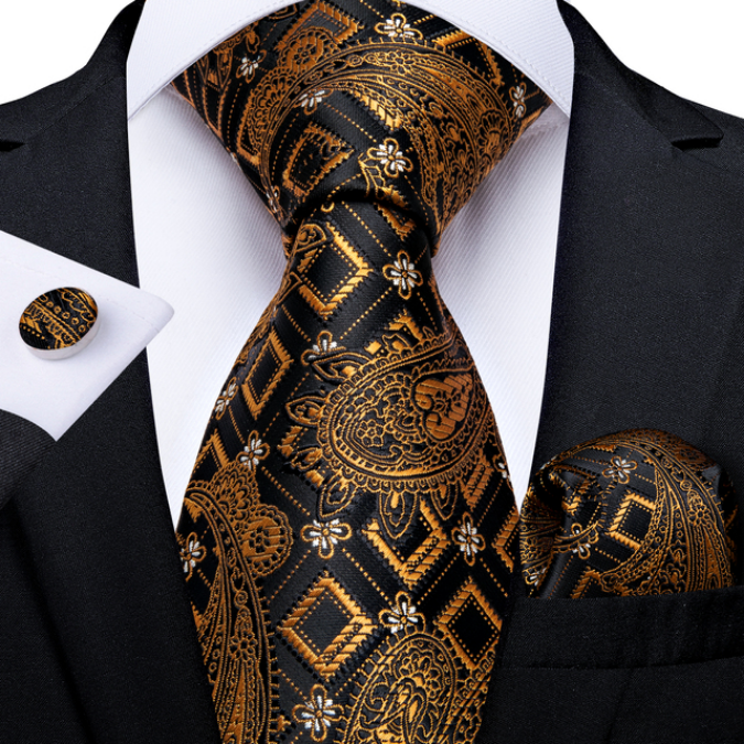 Fashion Paisley Tie Set