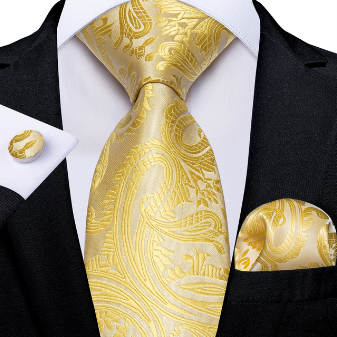 Fashion Paisley Tie Set